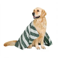 Dock & Bay Outlet Dog & Bay - Towels For Pets - Bone Dry - Outlet