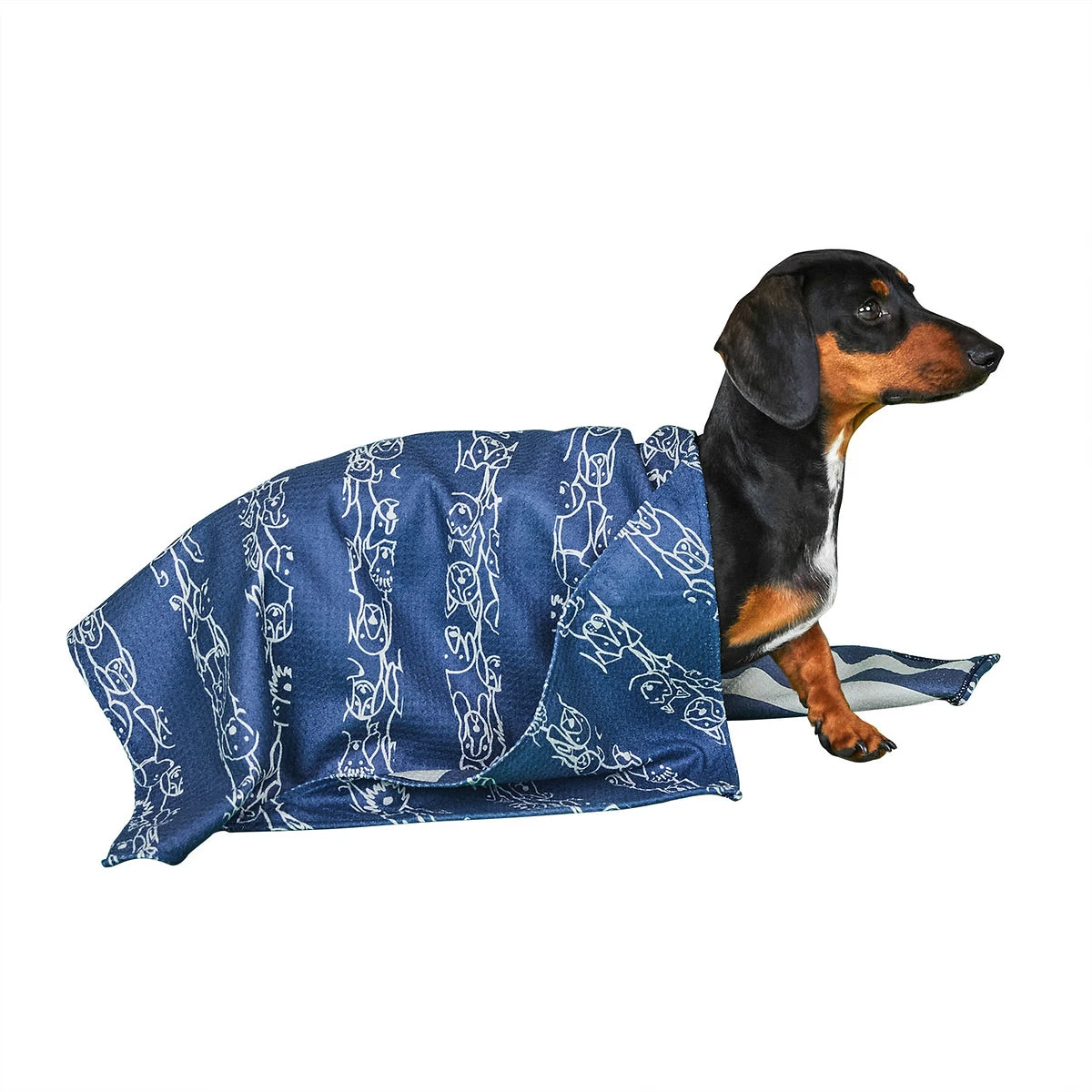 Dock & Bay Dog & Bay - Towels For Pets - Puppy Party 3 Dock & Bay Dog & Bay - Towels For Pets - Puppy Party