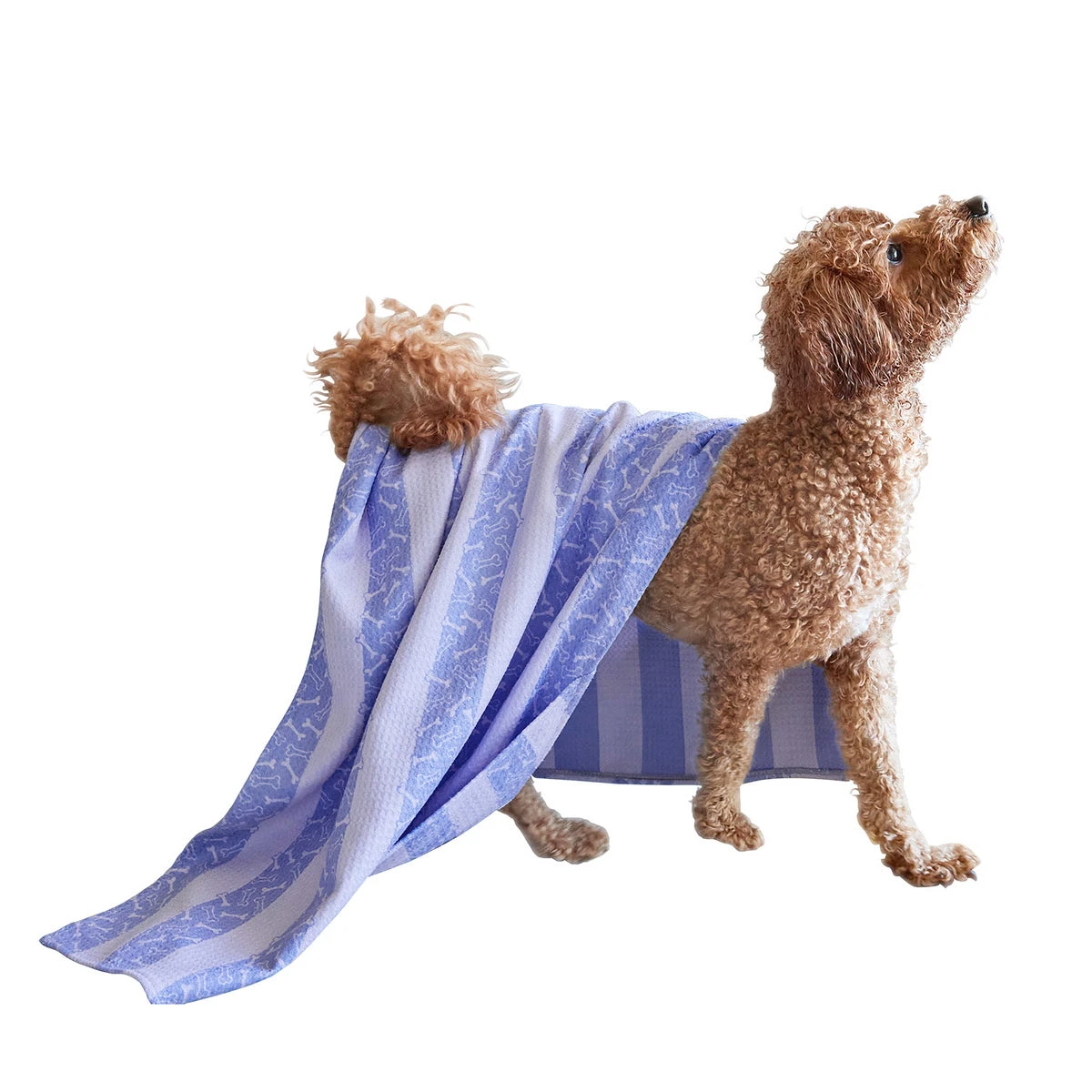 Dock & Bay Dock & Bay Dog Towels - Pawfect Purple 3 Dock & Bay Dock & Bay Dog Towels - Pawfect Purple