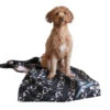 Dock & Bay Dock & Bay Dog Towels - Walkies In The Park -Dock & Bay Shop 01 DOGTWL WALK LUNA 018 X3