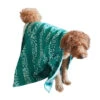 Dock & Bay Dock & Bay Dog Towels - Woofs Go Wild 1 Dock & Bay Dock & Bay Dog Towels - Woofs Go Wild -Dock & Bay Shop 01 DOGTWL WOOFWILD LUNA 040 X3