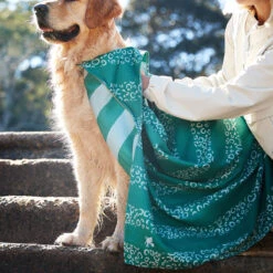 Dock & Bay Dock & Bay Dog Towels - Woofs Go Wild -Dock & Bay Shop 03 DOG23 DUDLEY DOGTWL WOOFWILD 077 SQ X3