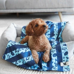 Dock & Bay Dock & Bay Dog Towels - Bark Blue -Dock & Bay Shop 03 DOG23 LUNA DOGTWL BARKBLU 001 SQ X3