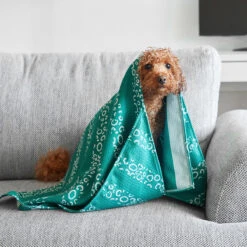 Dock & Bay Dock & Bay Dog Towels - Woofs Go Wild -Dock & Bay Shop 05 DOG23 LUNA DOGTWL WOOFWILD 043 SQ X3