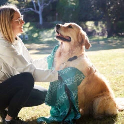 Dock & Bay Dock & Bay Dog Towels - Woofs Go Wild -Dock & Bay Shop 12 DOG23 DUDLEY DOGTWL WOOFWILD 002 SQ X3