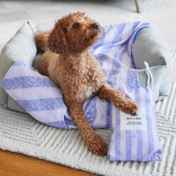 Dock & Bay Dock & Bay Dog Towels - Pawfect Purple 29 Dock & Bay Dock & Bay Dog Towels - Pawfect Purple -Dock & Bay Shop 12 DOG23 LUNA DOGTWL PAWPPL 020 SQ X3