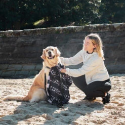 Dock & Bay Dock & Bay Dog Towels - Walkies In The Park -Dock & Bay Shop 13 DOG23 DUDLEY DOGTWL WALK 019 SQ X3