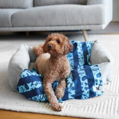 Dock & Bay Dock & Bay Dog Towels - Bark Blue -Dock & Bay Shop 13 DOG23 LUNA DOGTWL BARKBLU 006 SQ X3