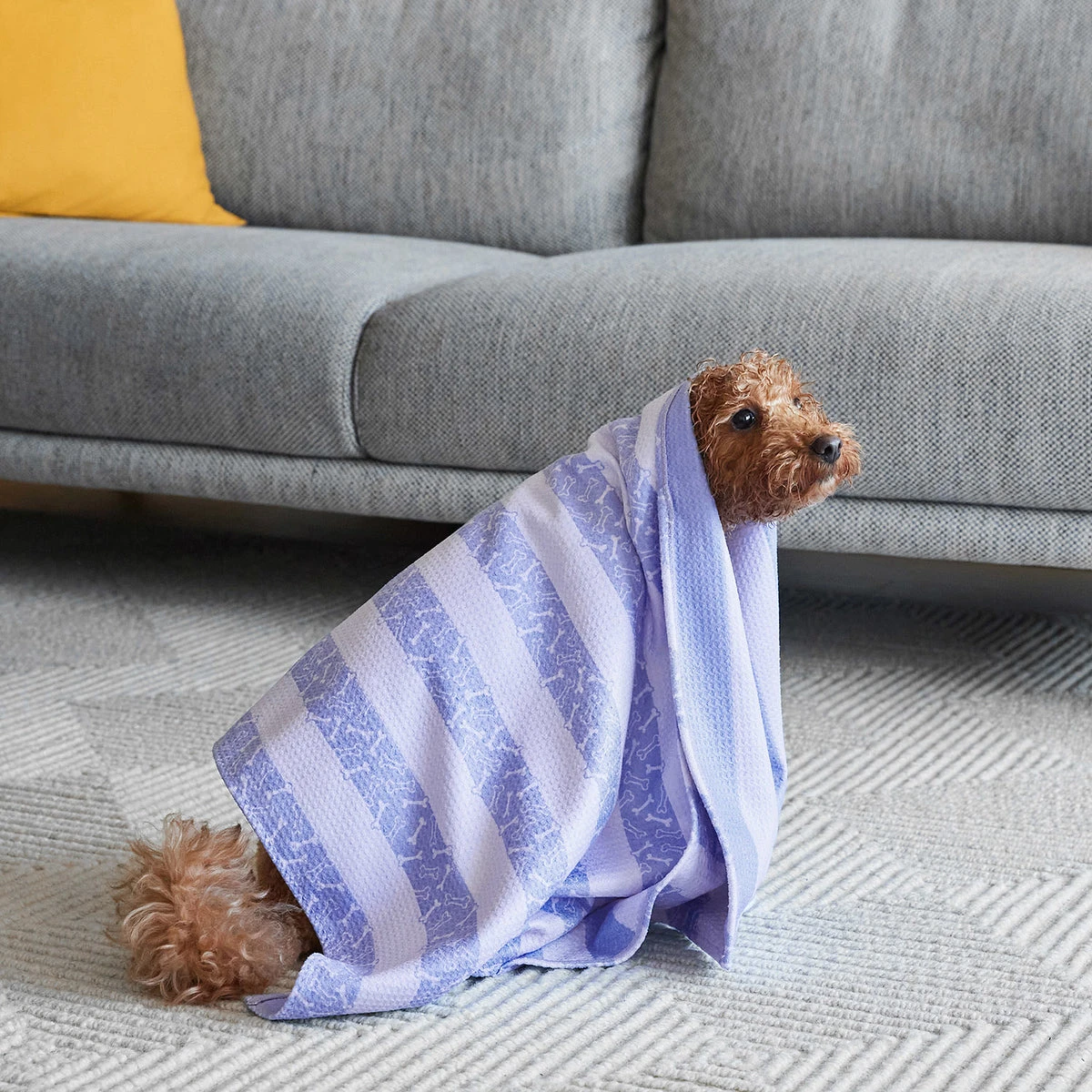 Dock & Bay Dock & Bay Dog Towels - Pawfect Purple 16 Dock & Bay Dock & Bay Dog Towels - Pawfect Purple - Image 14